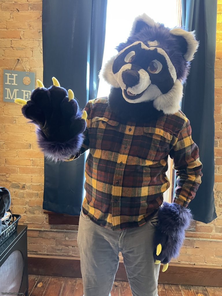 Midnight Raccoon Partial
