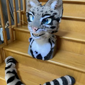 Clouded leopard head + tail