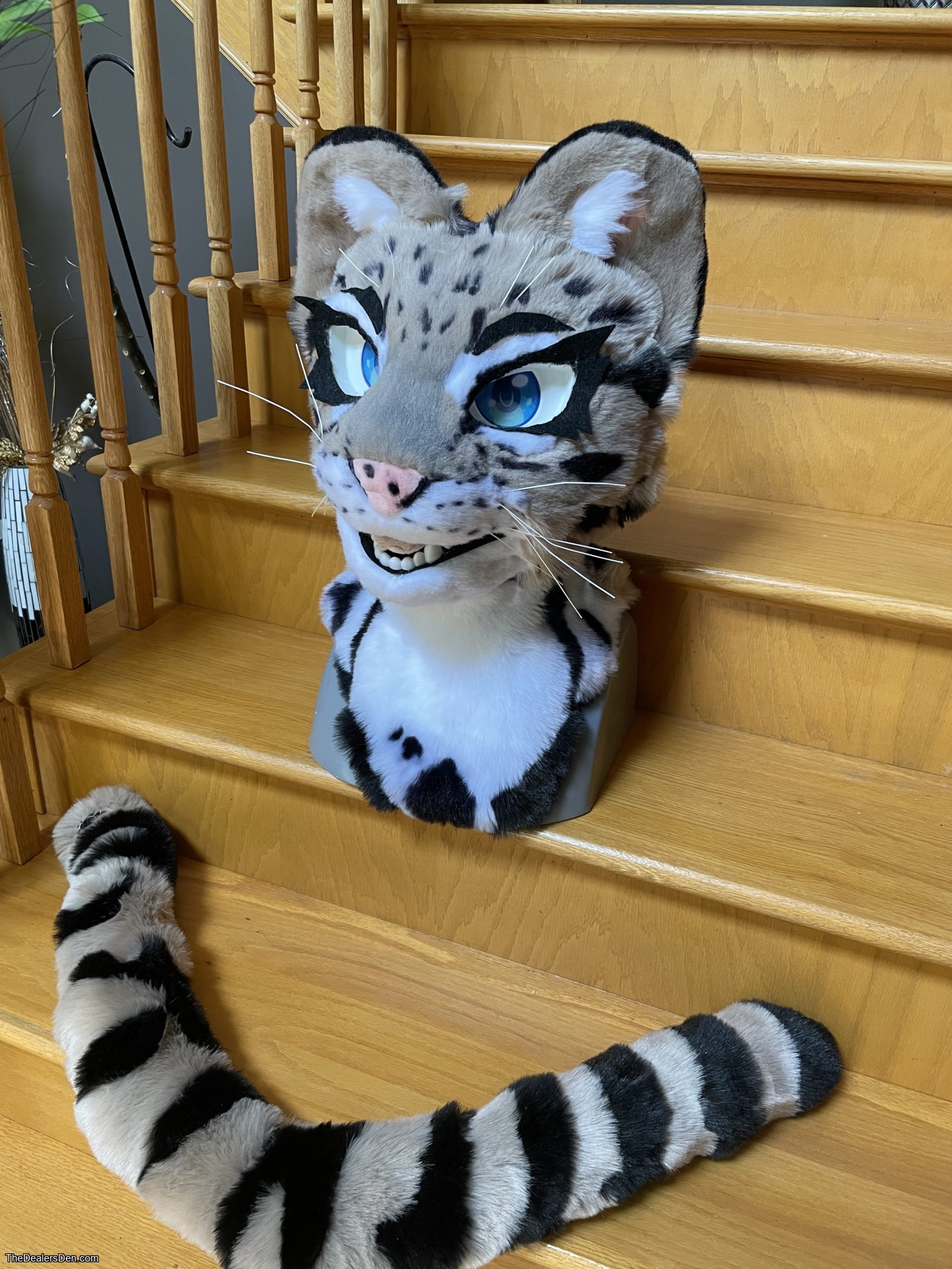 Clouded leopard head + tail
