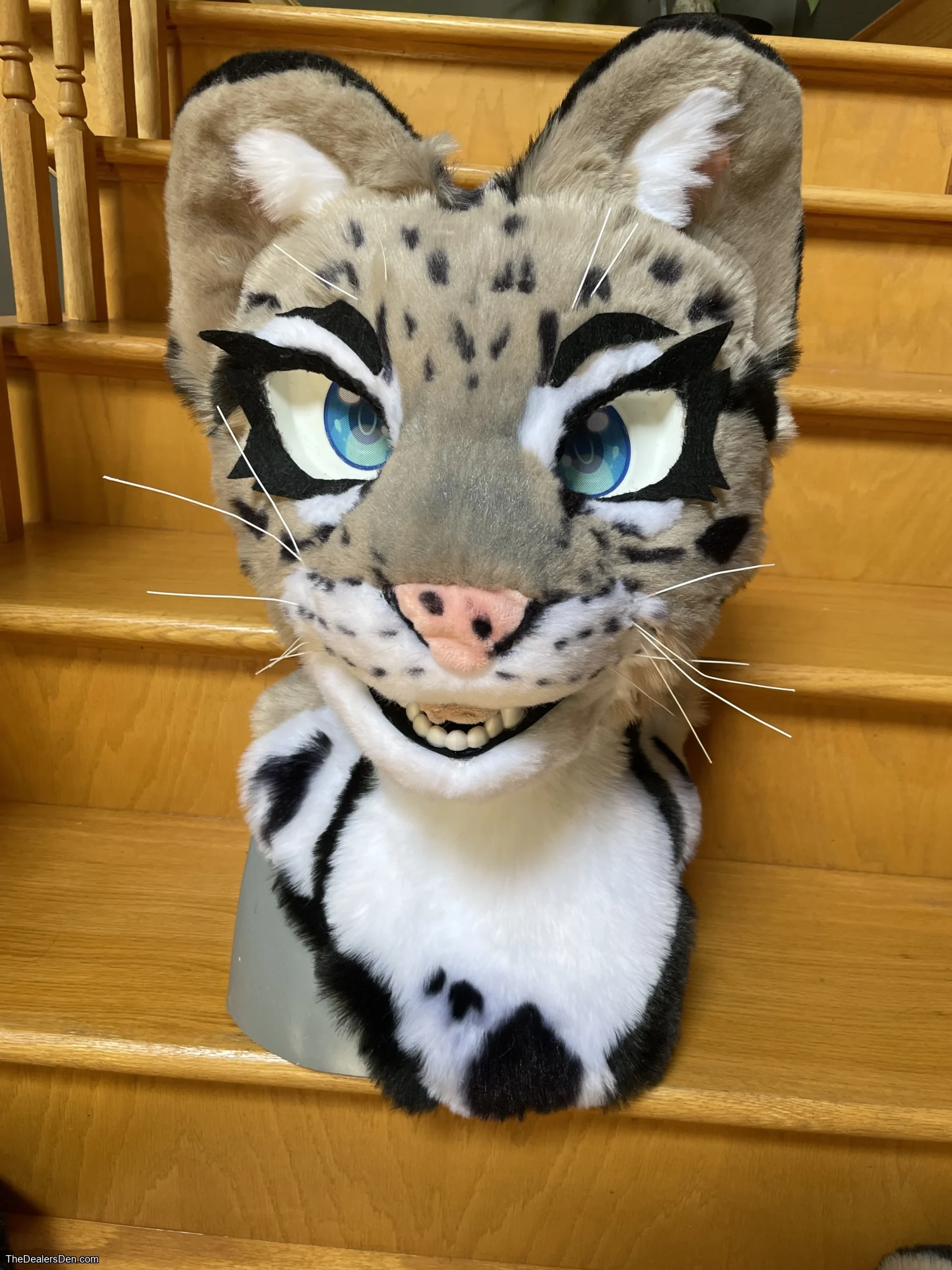 Clouded leopard head + tail - Image 4
