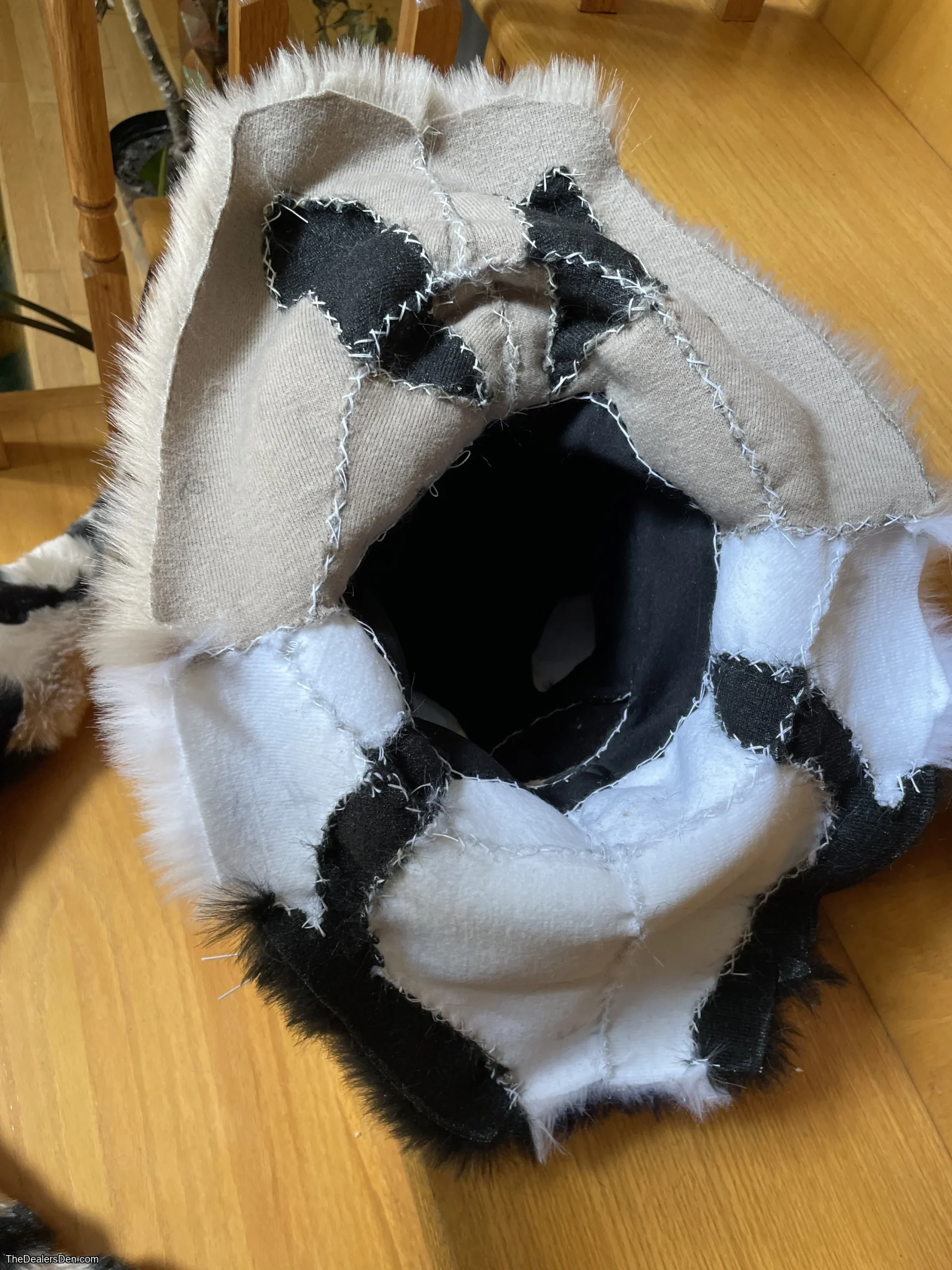 Clouded leopard head + tail - Image 6